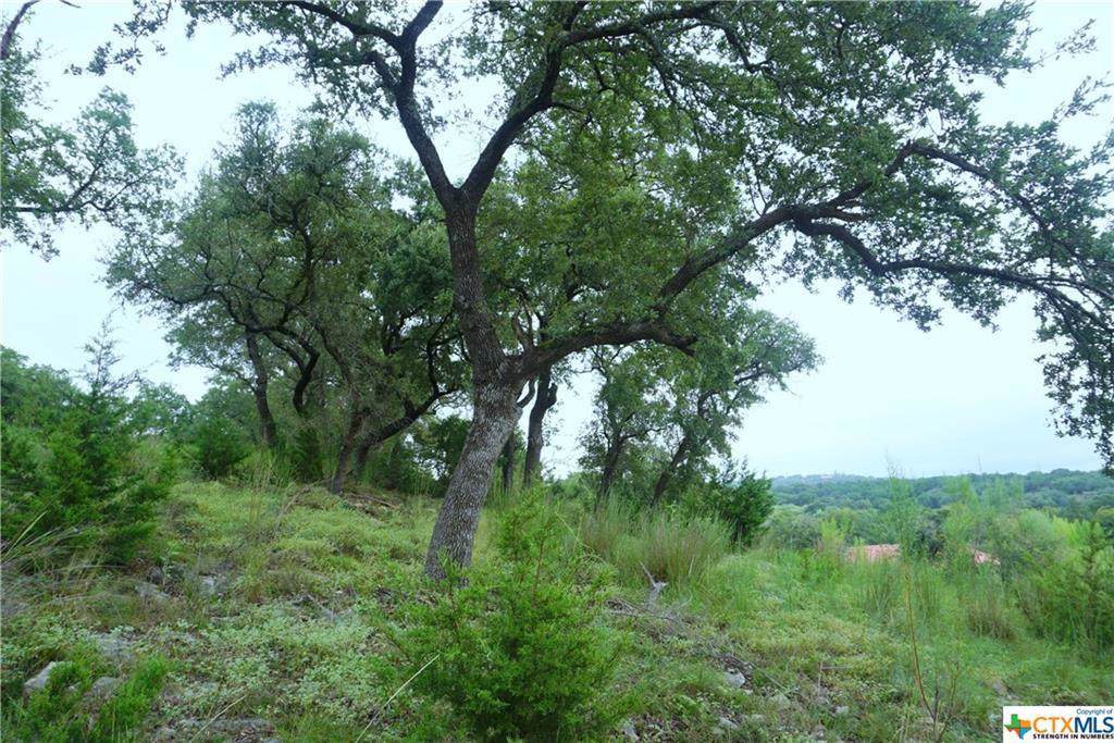 2215 Sierra Madre - Photo 1