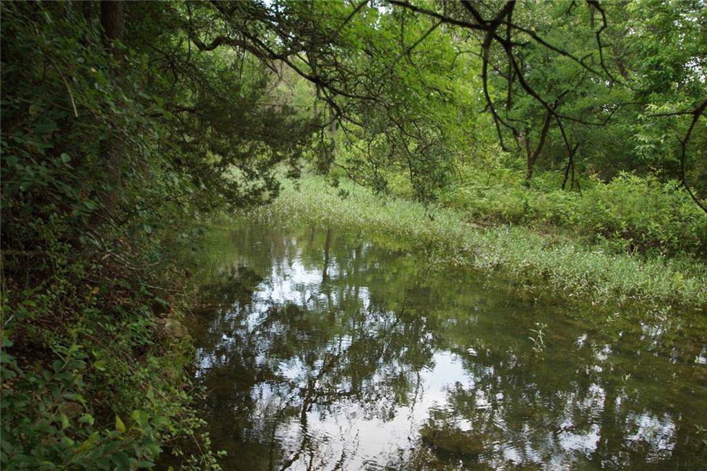 Tract 3 County Road 236 - Photo 1