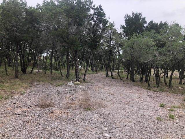 15765 Hamilton Pool Rd - Photo 1