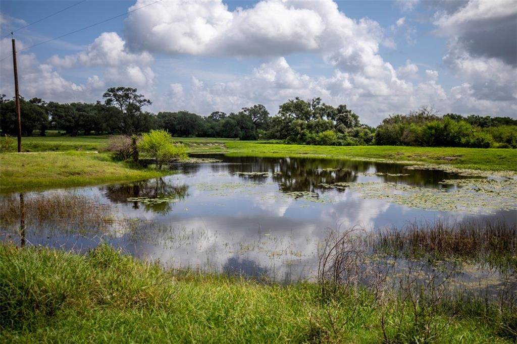3662 Smith Ranch Rd - Photo 1