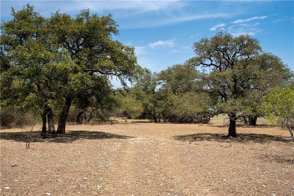 Tract 3 3835 Fm 1702 - Photo 1