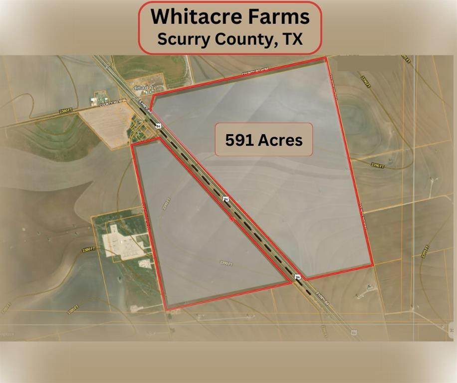 000 State Highway 84 Highway - Photo 1