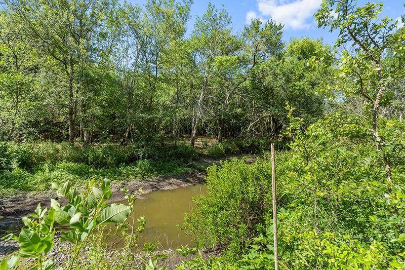 15615 Fagerquist Rd - Photo 1