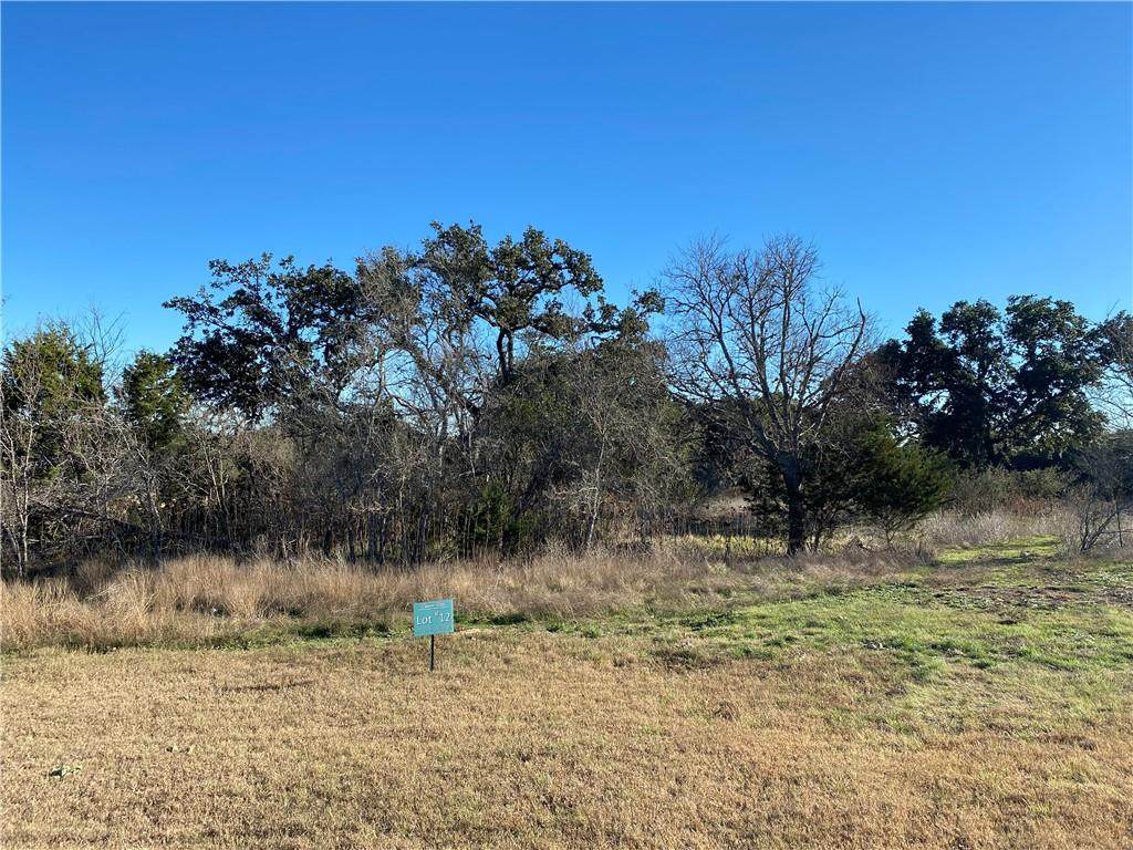 242 Charro Vista Dr - Photo 1