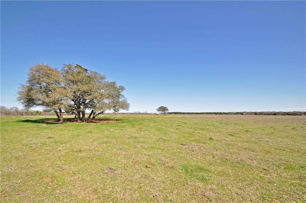 000 Zimmerhanzel (Lot 1B) Rd - Photo 1