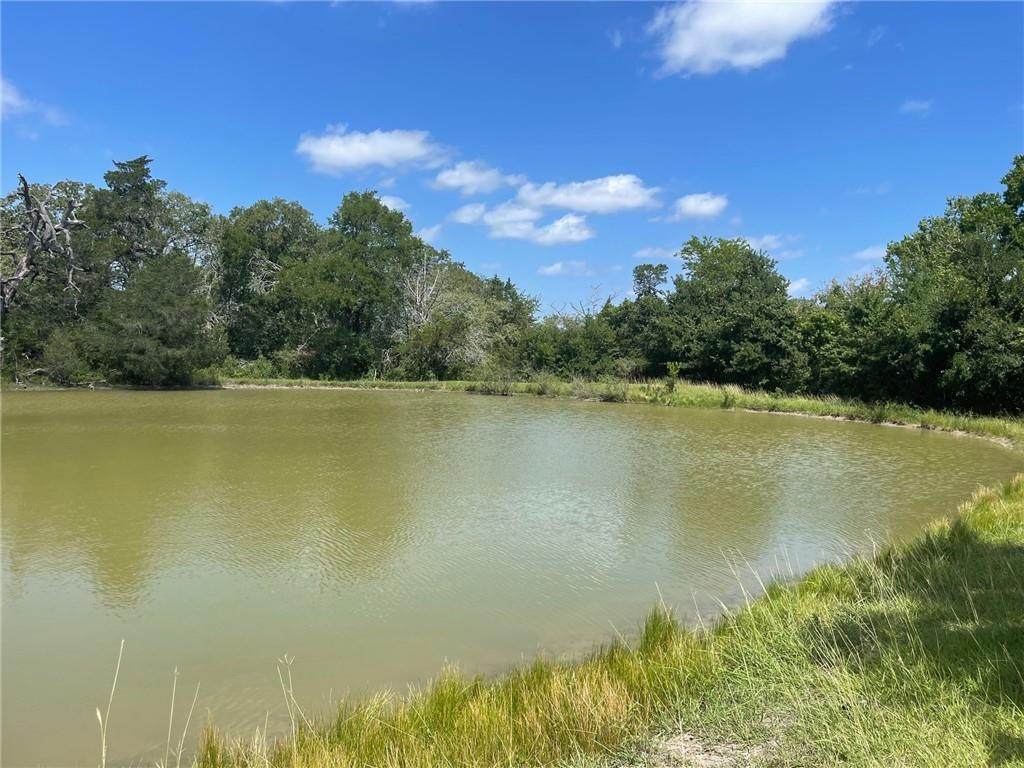 222 Zapalac Rd - Photo 1