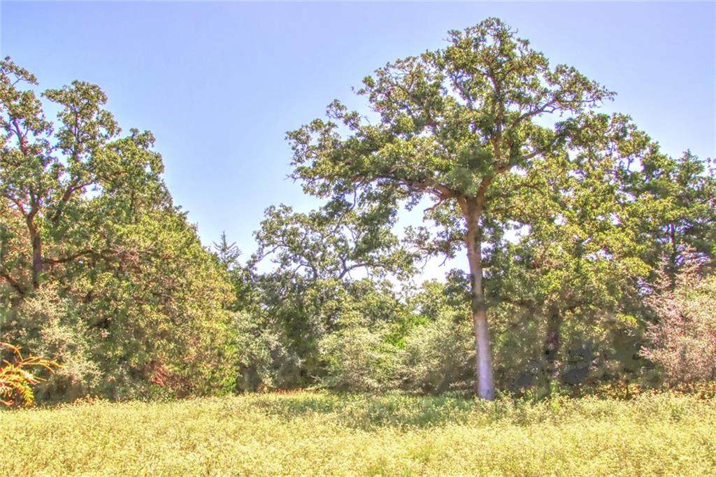 Tract 1 Hellinger Rd - Photo 1