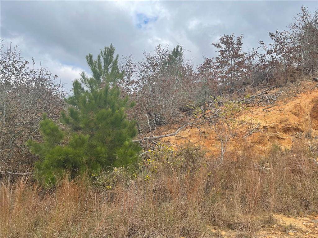 LOT 587 Otani Ct - Photo 1