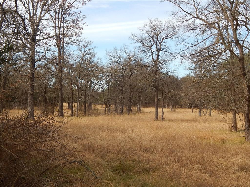 680 County Road 225 - Photo 1