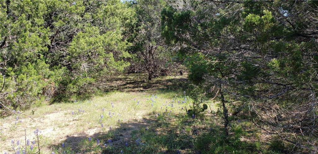 TBD Lot 3 County Road 200 - Photo 1