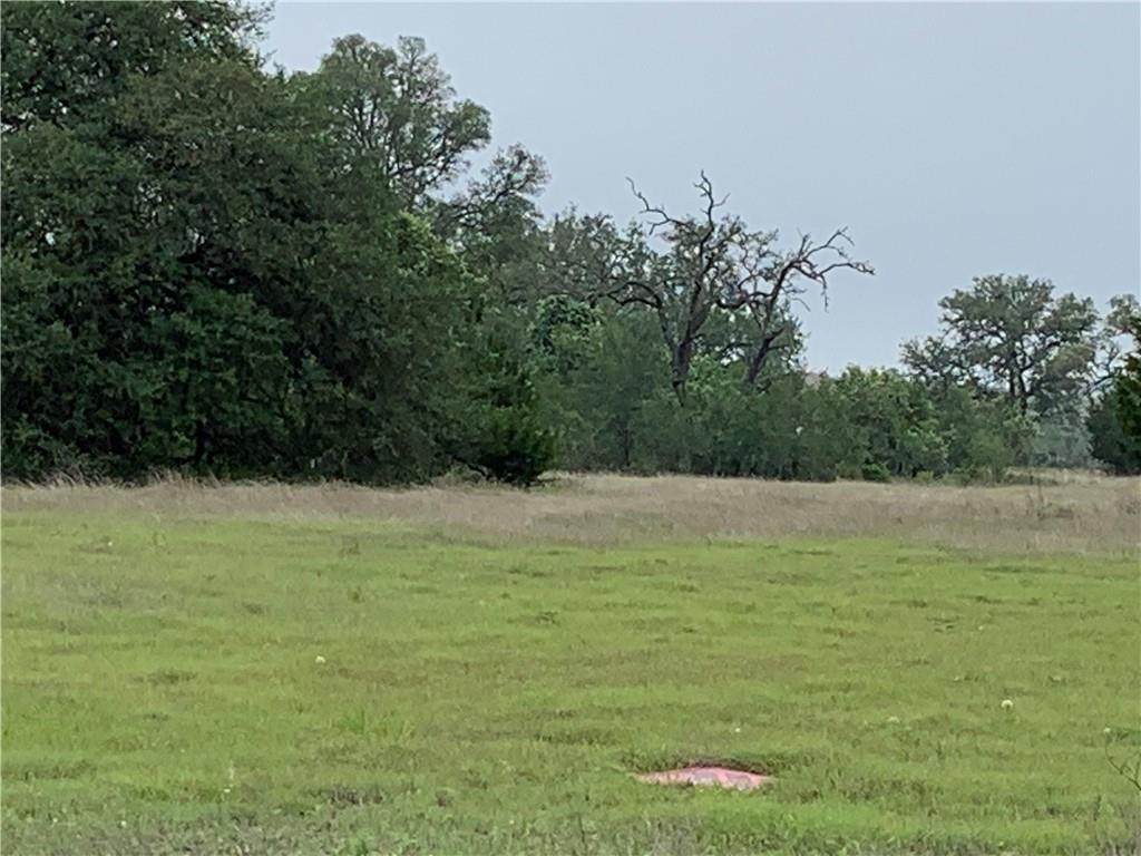 1751 Nature View Loop - Photo 1