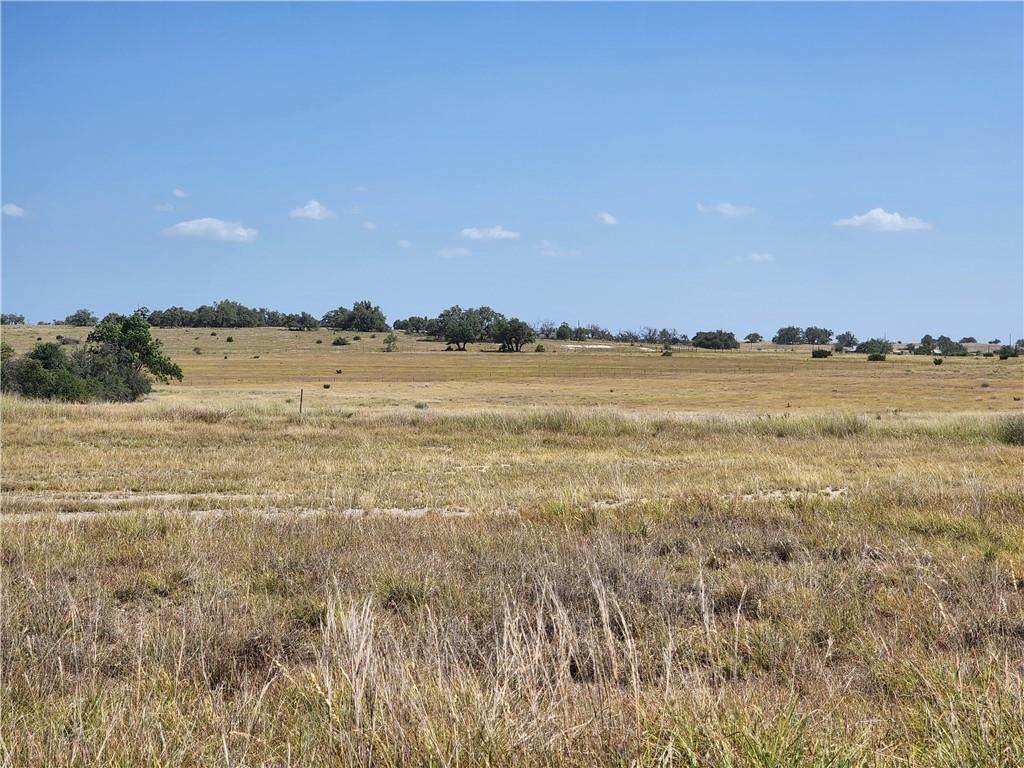 2253 Jung Rd - Photo 1
