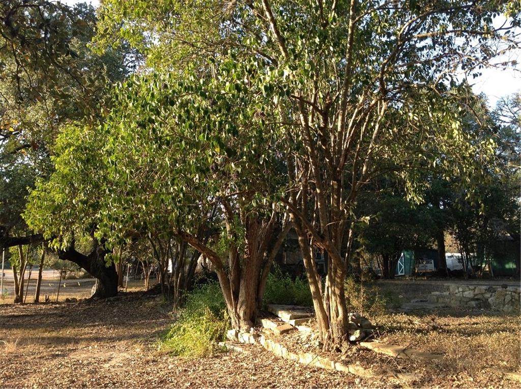 612 Fm 2325 - Photo 1