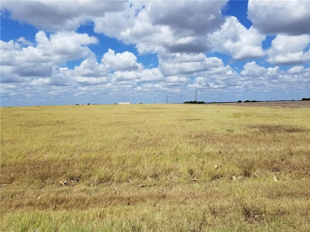 14800 F M Road 1100 - Photo 1
