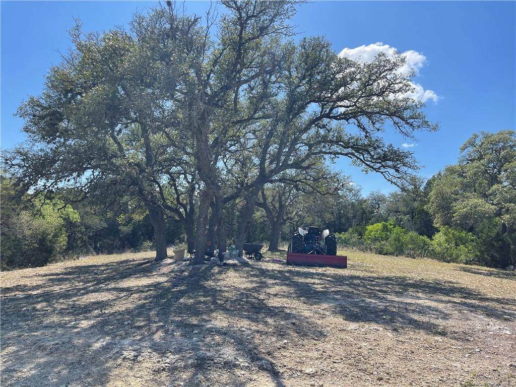 208 Pace Bend Rd - Photo 1