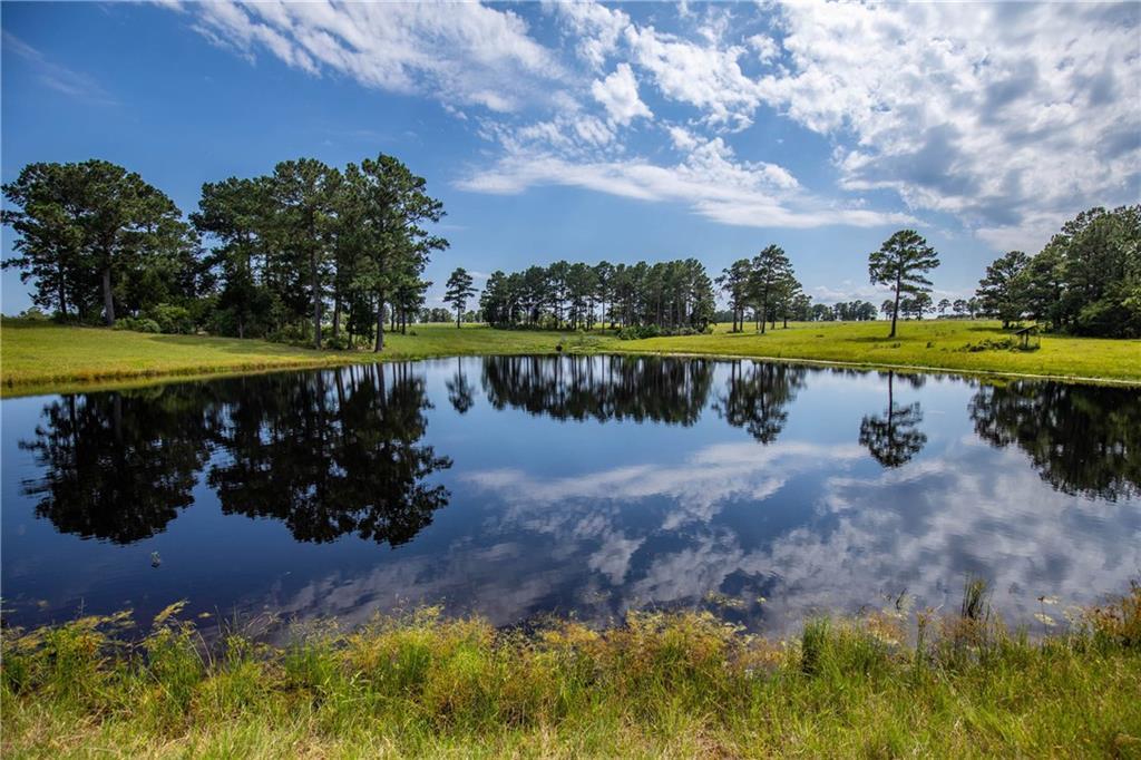 TBD Gotier Trace Rd - Photo 1