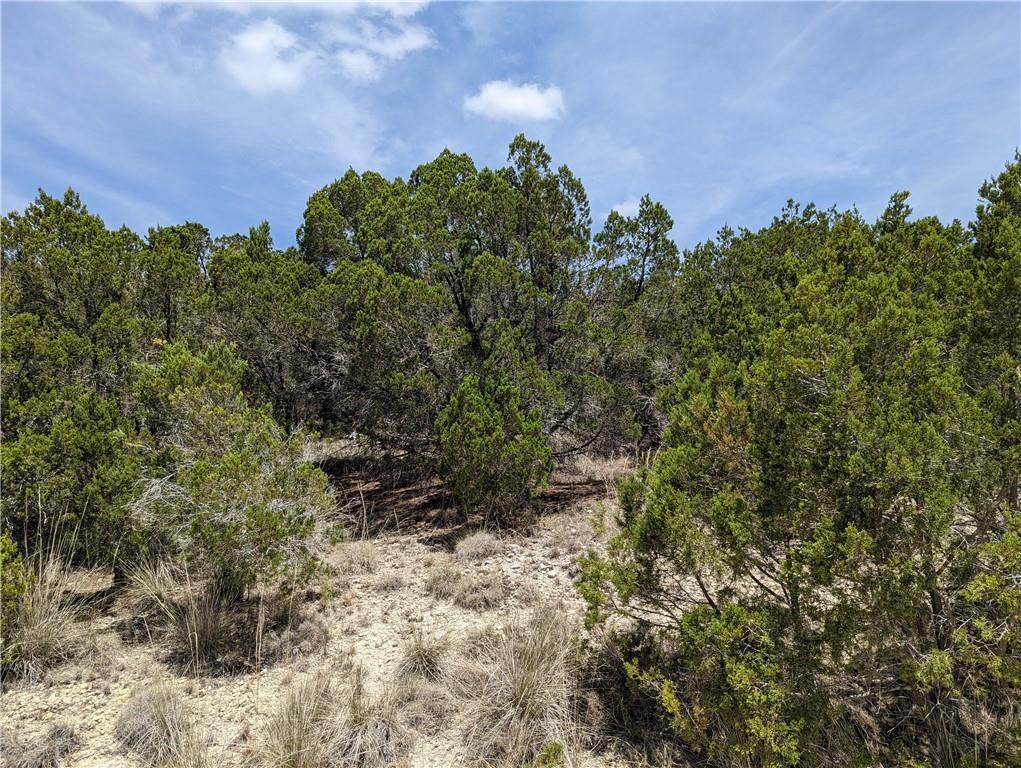 8600 Big Horn Cir - Photo 1