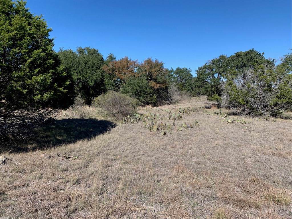 1708 White Tail Rd - Photo 1