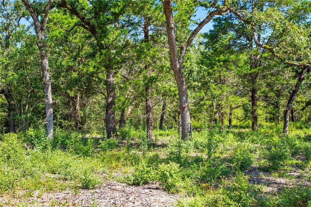 1136 Oak View Ln - Photo 1