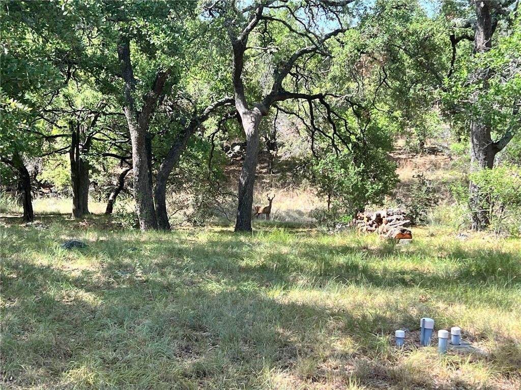 213 Cactus Cor - Photo 1