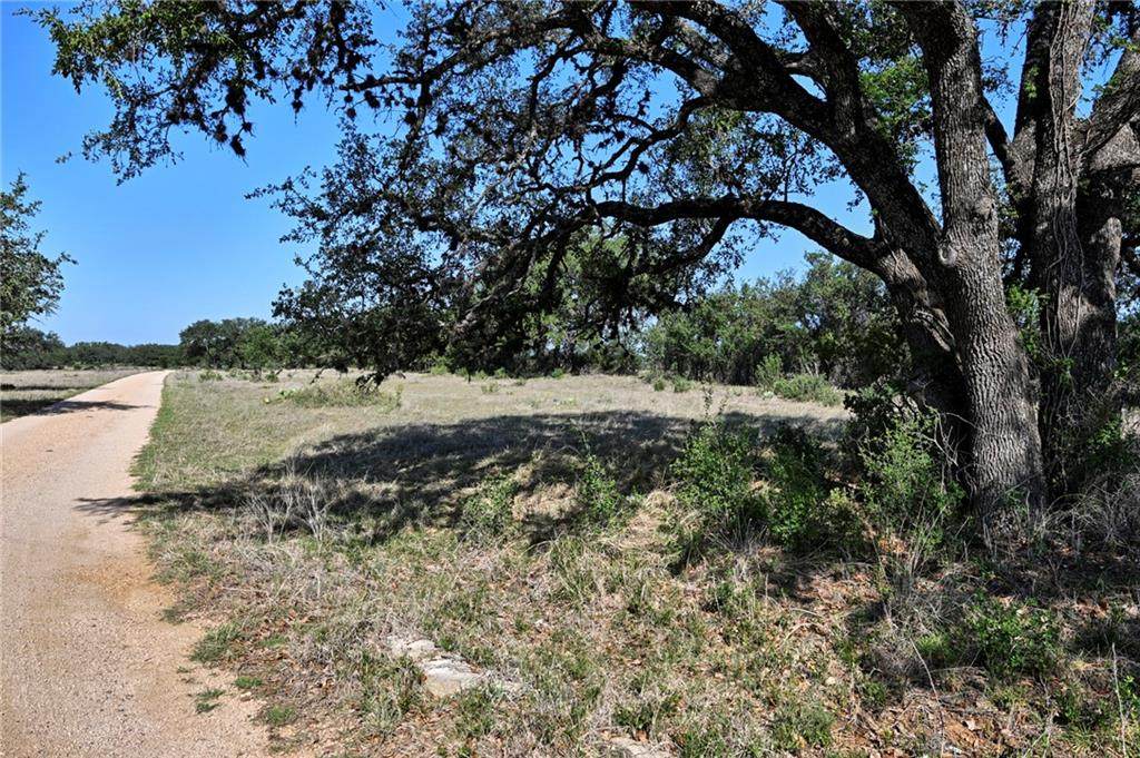 TBD Althaus Ranch Road - Photo 1
