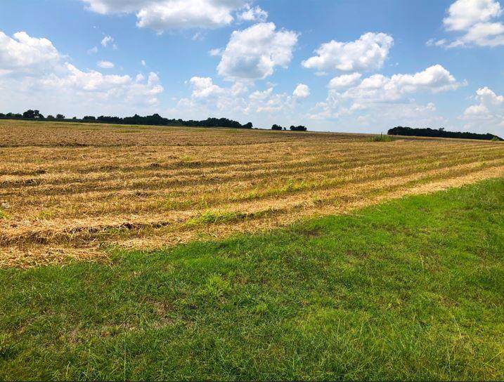 TBD CR 421, Thrall T County Road 421 - Photo 1
