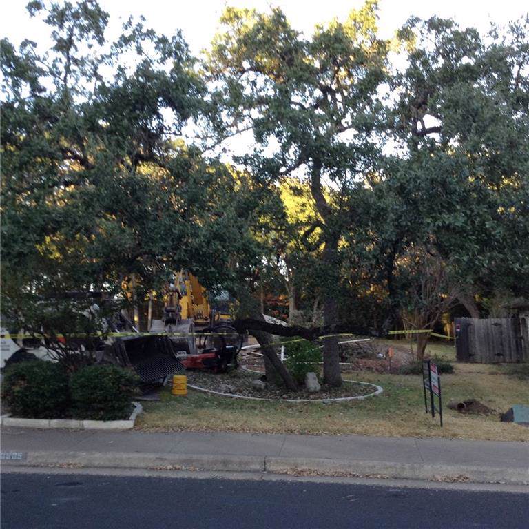10905 Buckthorn Dr - Photo 1