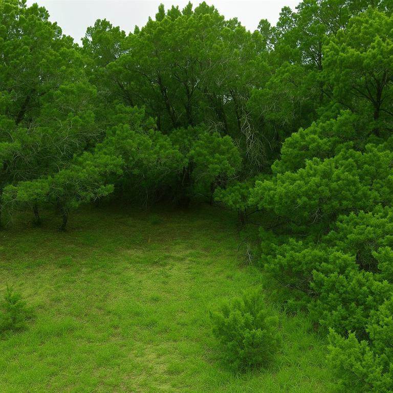 4414 Liberty Ln - Photo 1