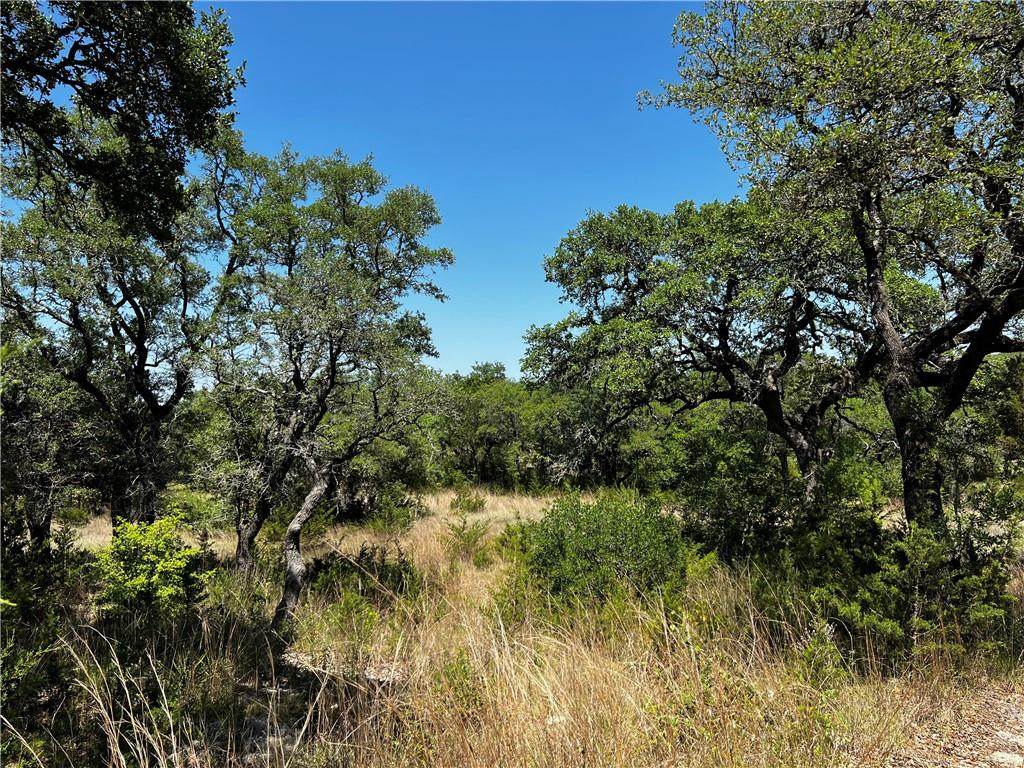 11501 Rim Rock Trl - Photo 1