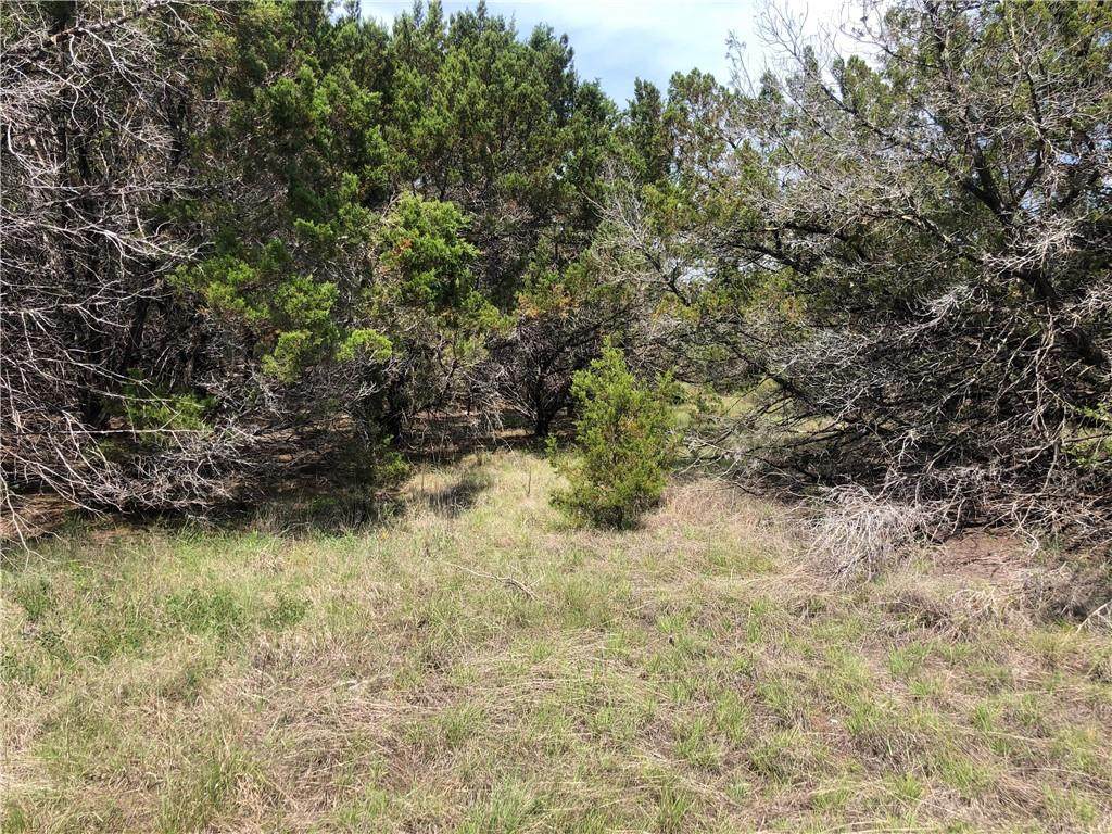 20608 Ramrod Trl - Photo 1