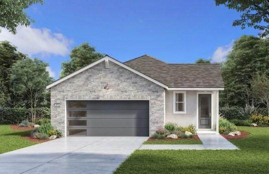 3806 Wild Olive Way - Photo 1