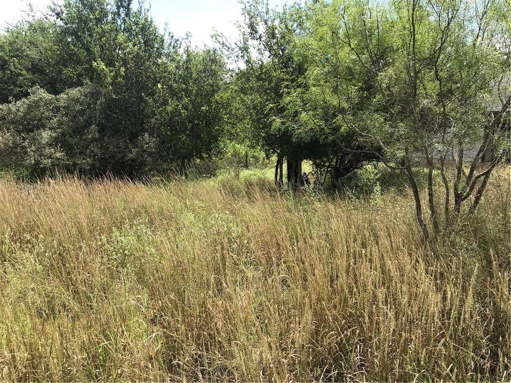 TBD Reso Pecan Ln - Photo 1