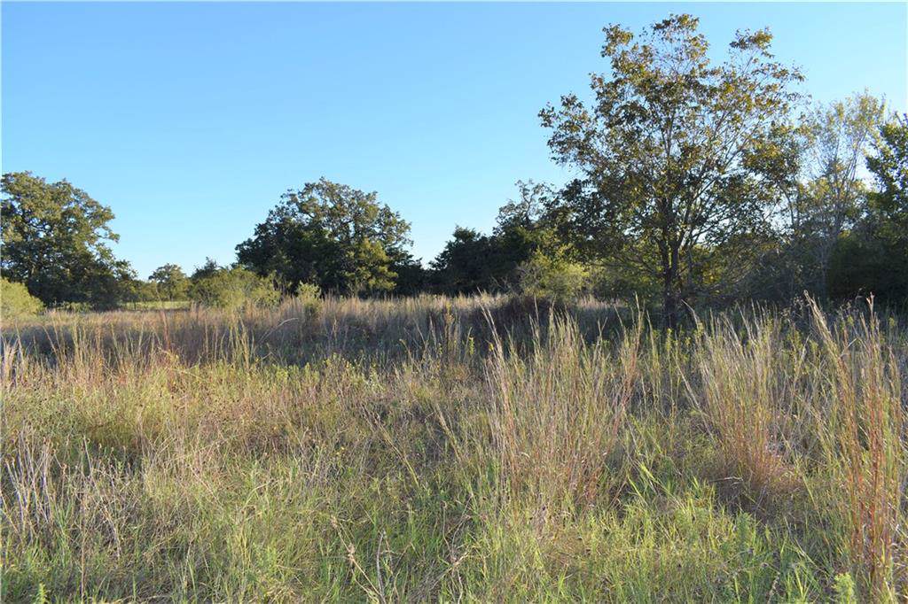 TBD Farm To Market 141 - Photo 1