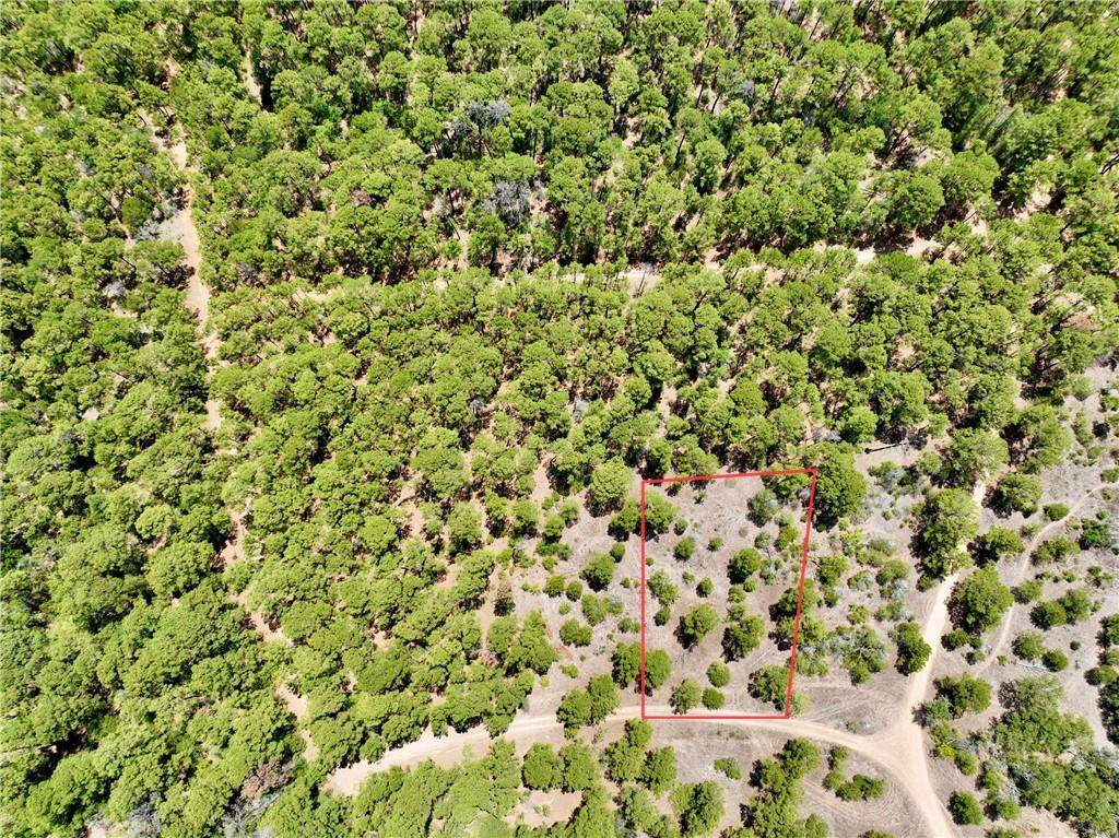 Lot 14 Leaf Hollow Dr - Photo 1