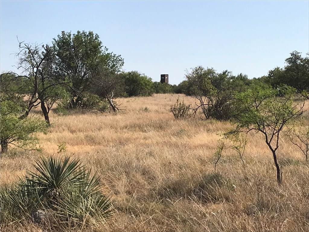000 Us Hwy 87 - Photo 1