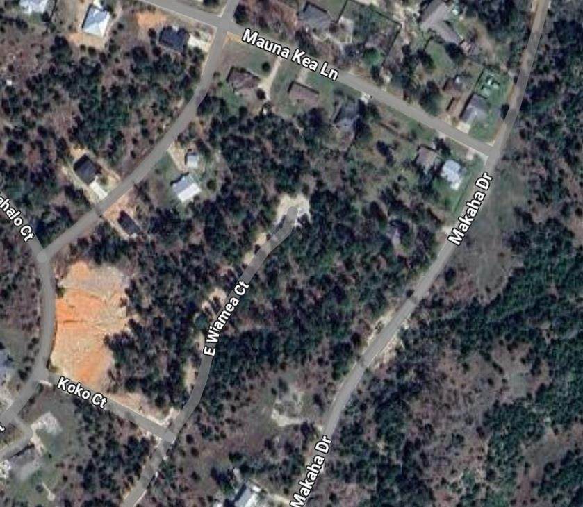 TBD E Wiamea Ct - Photo 1