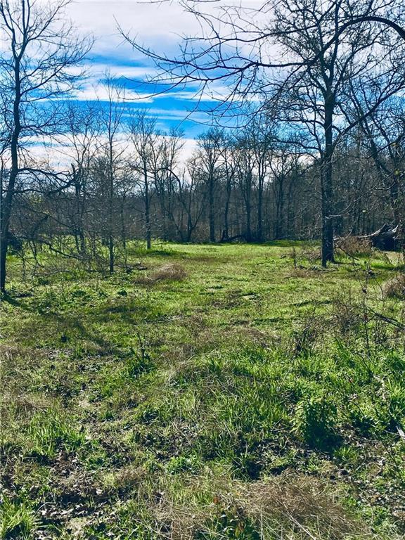 233 Mcdonald Ln - Photo 1