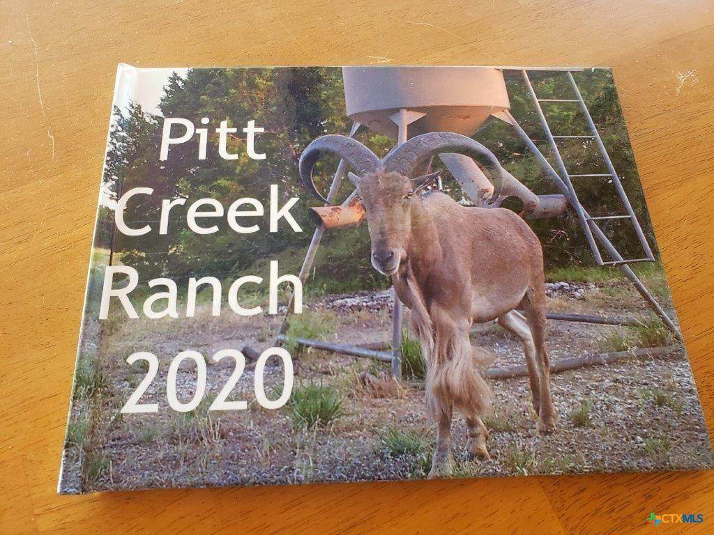 Lot 4 Cr 1255 Pitt Creek Ranch - Photo 1