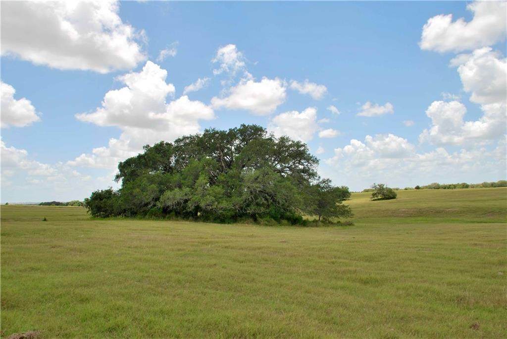 4110 County Road 256 - Photo 1