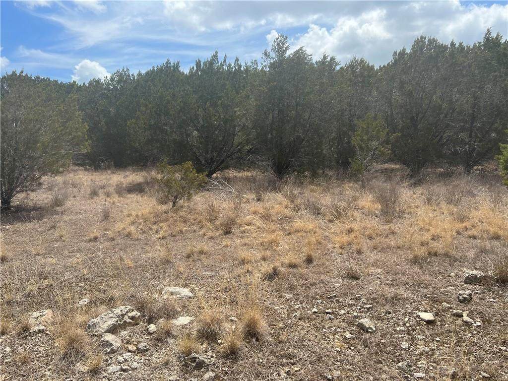 8125 Clearwater Cv - Photo 1