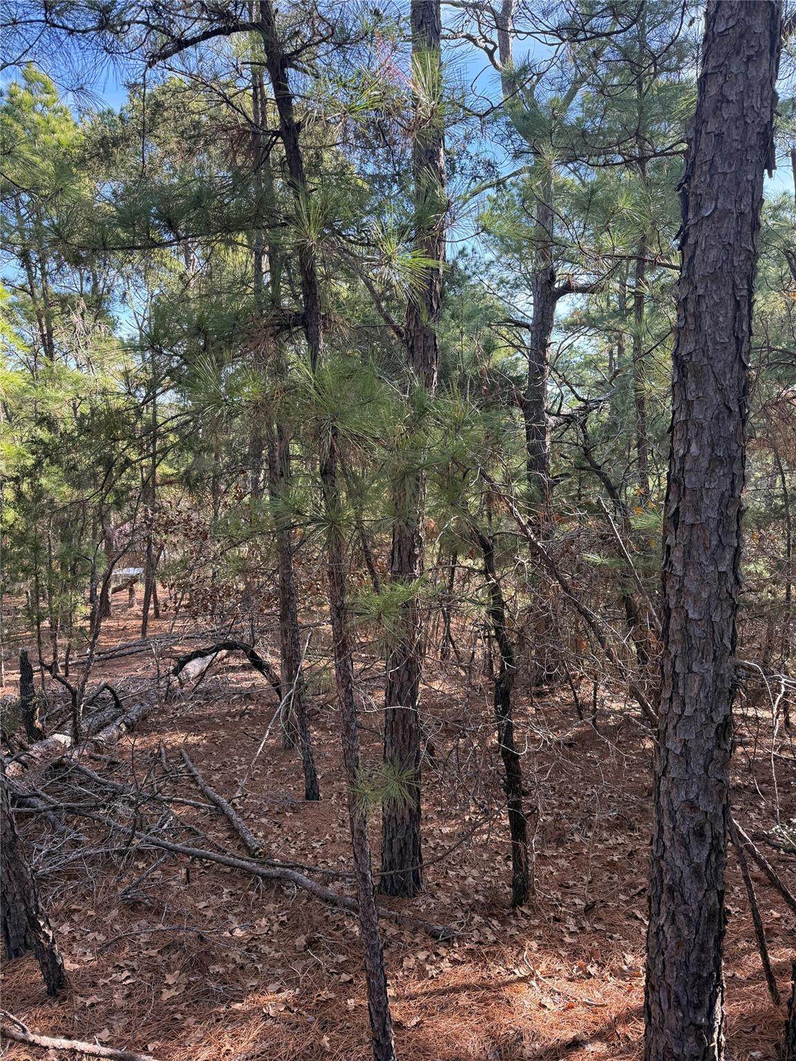 https://bt-photos.global.ssl.fastly.net/austin/orig_boomver_1_6065517-2.jpg