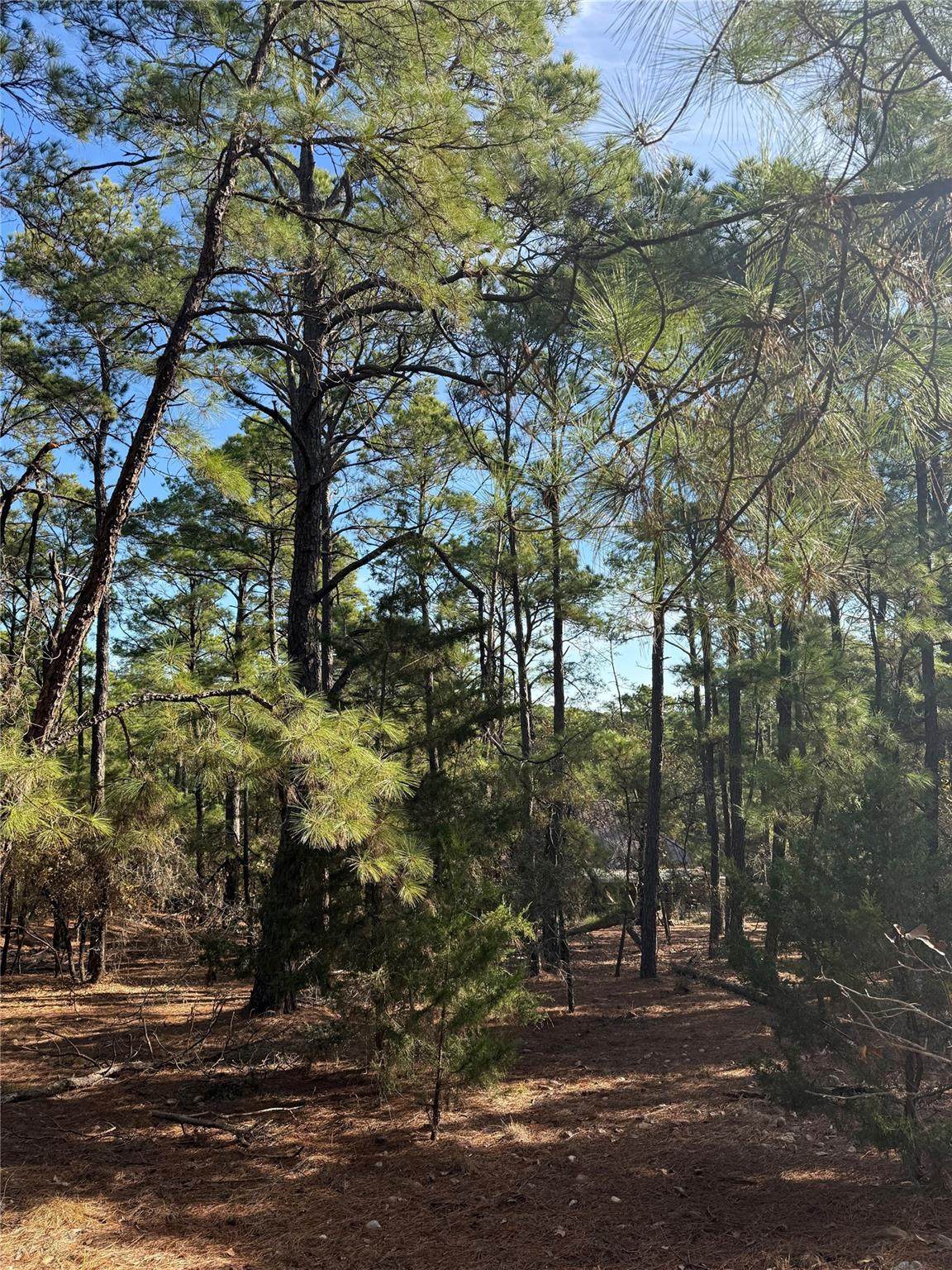 https://bt-photos.global.ssl.fastly.net/austin/orig_boomver_1_6065517-2.jpg