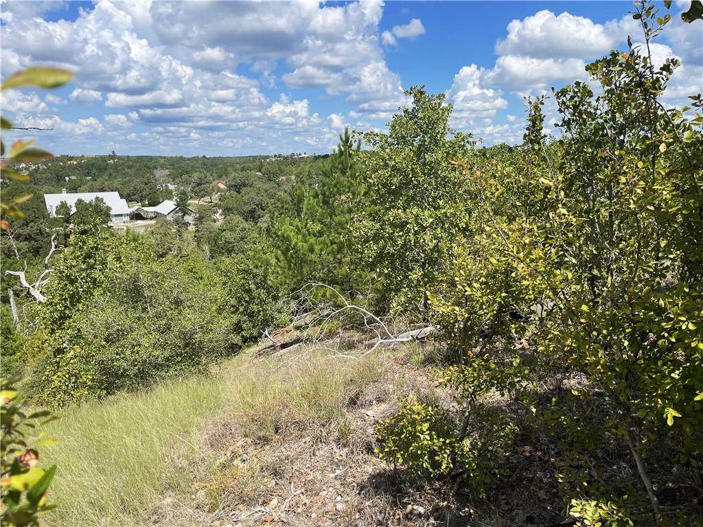 Lot 10 River Forest Dr - Photo 1