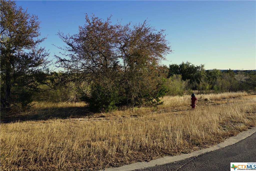 204 Ensenada - Photo 1