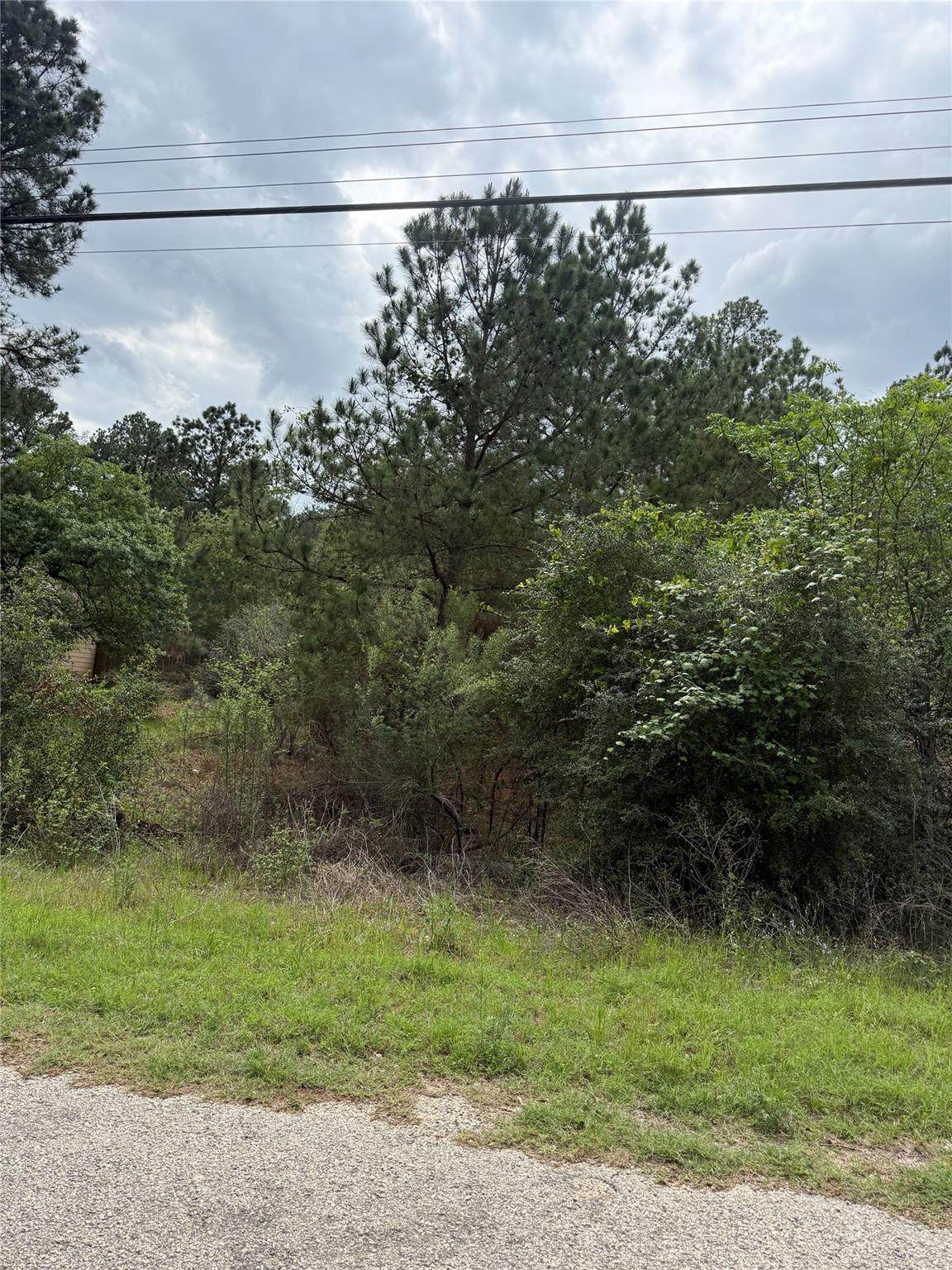 Lot 1360 Kuapo Dr - Photo 1