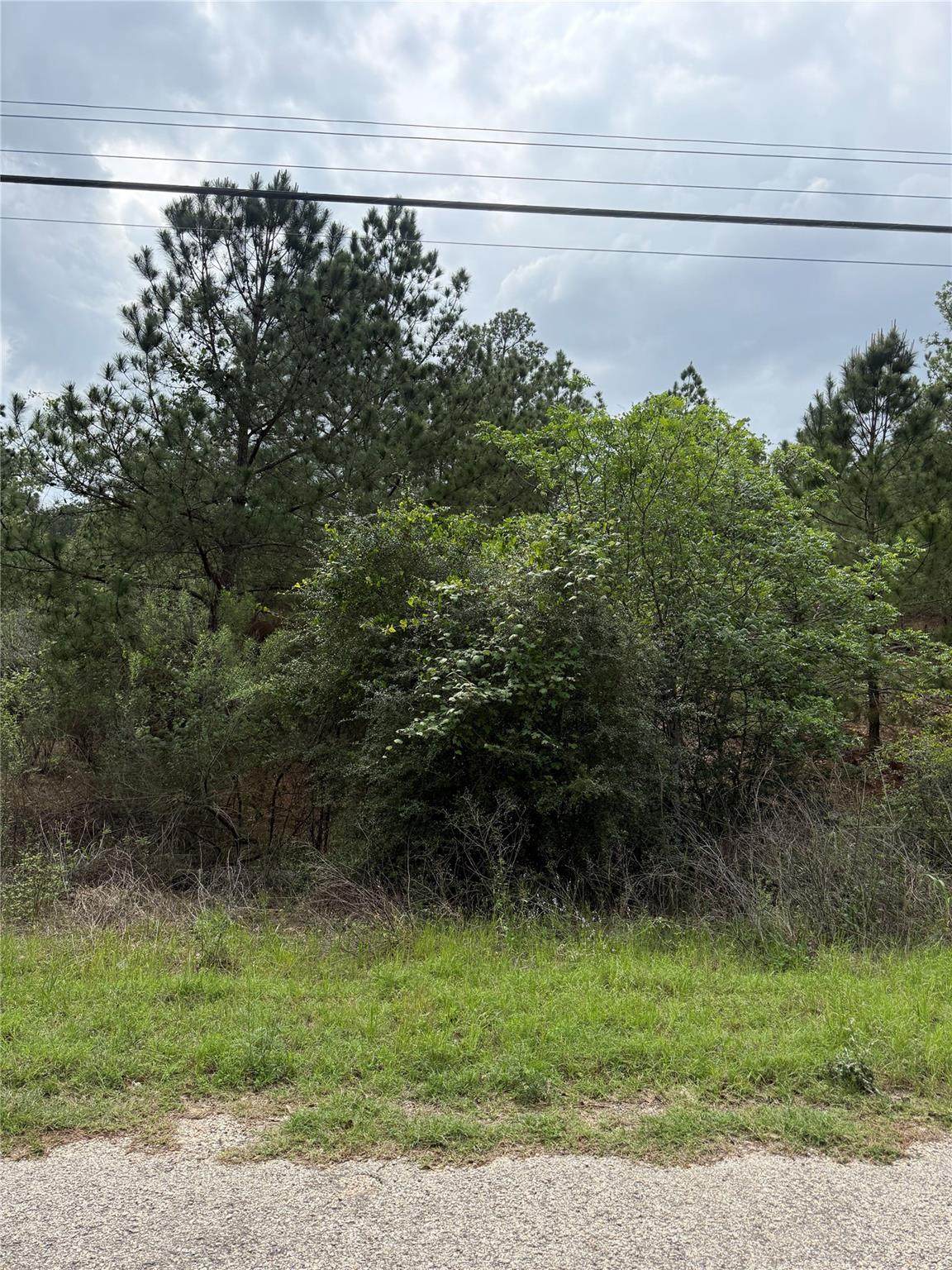 https://bt-photos.global.ssl.fastly.net/austin/orig_boomver_1_6159578-2.jpg