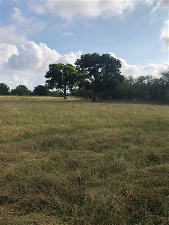 TBD Whit Williams Rd - Photo 1
