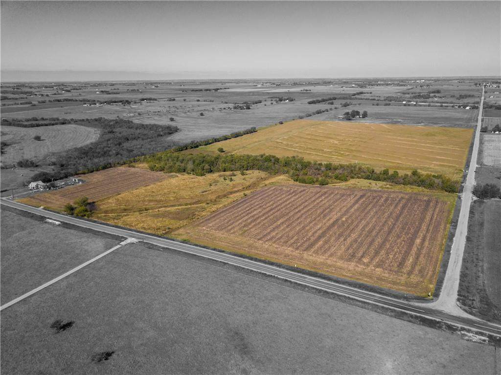 000 County Road 417 Rd - Photo 1