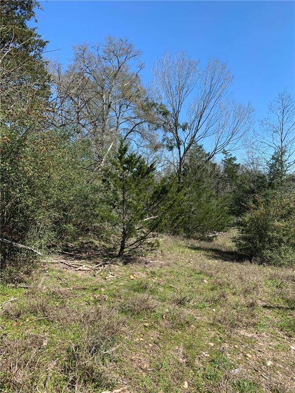 TBD Farm To Market 1291 - Photo 1