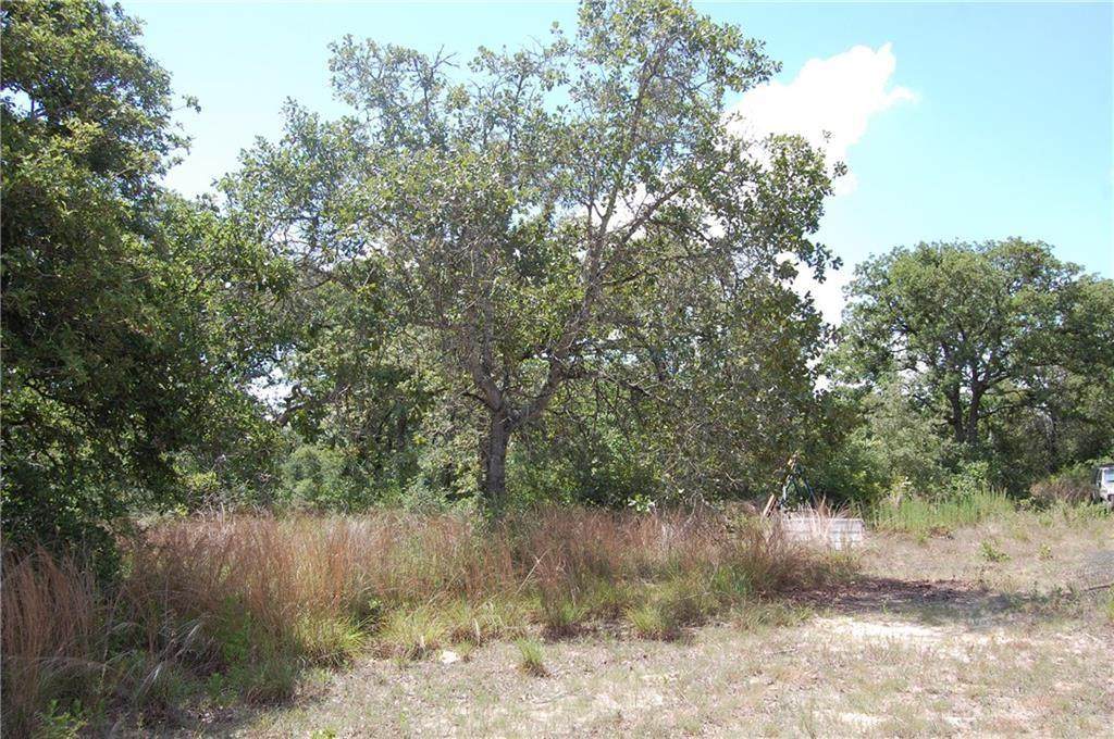 2916 Sand Hill Rd - Photo 1